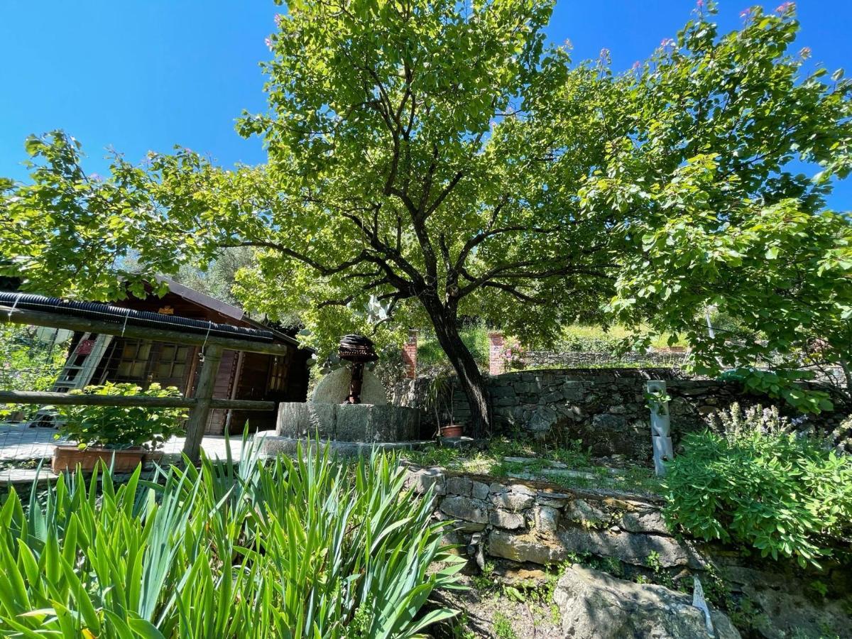 Il Frantoio Di Luna - Levanto, 5 Terre Exterior photo